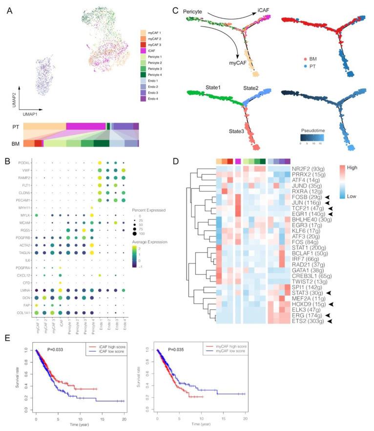 https://cdn.ncbi.nlm.nih.gov/pmc/blobs/6e5c/9855438/6f988d8459a7/biomolecules-13-00185-g005.jpg