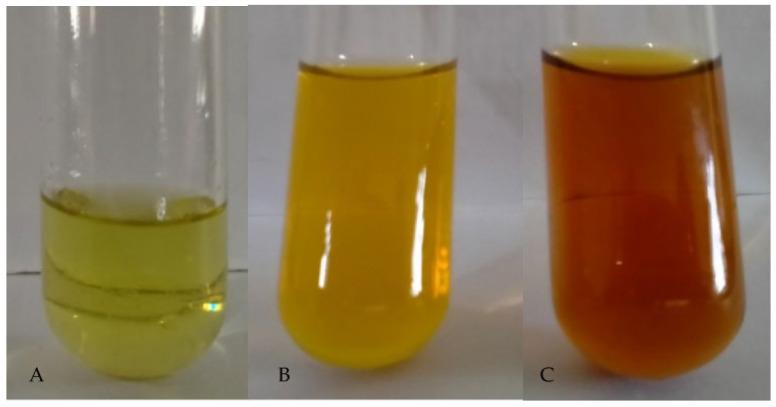 https://cdn.ncbi.nlm.nih.gov/pmc/blobs/6e5d/12292630/8a1eecdc071e/biology-14-00904-g003.jpg