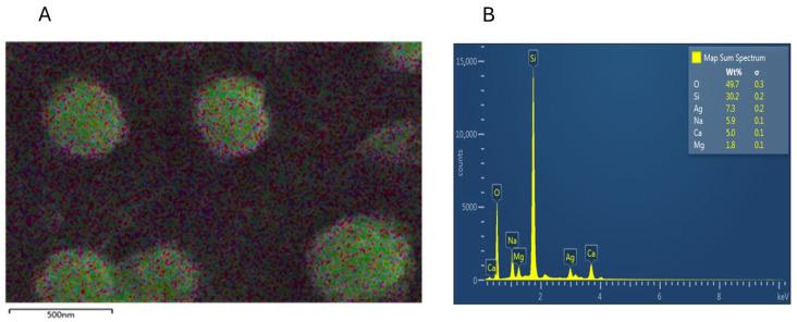 https://cdn.ncbi.nlm.nih.gov/pmc/blobs/6e5d/12292630/e329db9feed3/biology-14-00904-g008.jpg