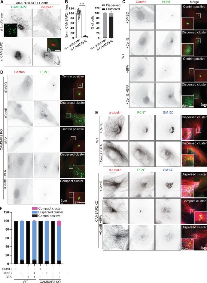 https://cdn.ncbi.nlm.nih.gov/pmc/blobs/6e5f/9307276/bde8e3ee2199/elife-77892-fig1-figsupp1.jpg
