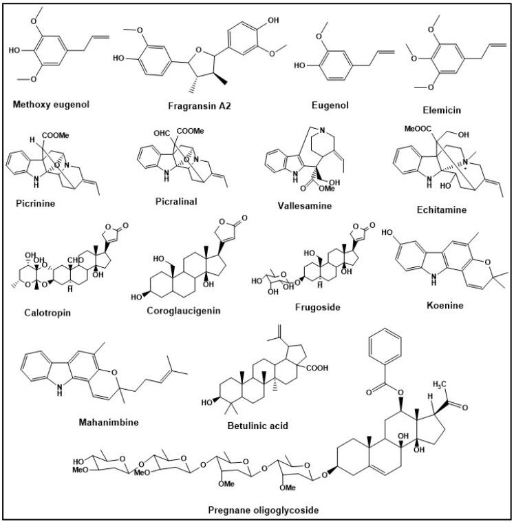 https://cdn.ncbi.nlm.nih.gov/pmc/blobs/6e62/10890687/04970ad2199c/metabolites-14-00119-g003.jpg