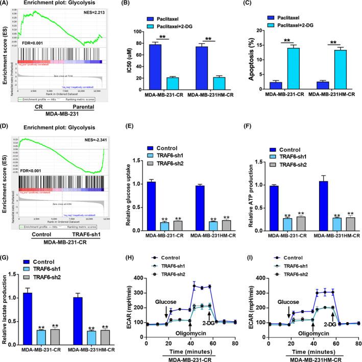 https://cdn.ncbi.nlm.nih.gov/pmc/blobs/6e64/10587986/ffc1e9aca216/CAM4-12-19807-g006.jpg