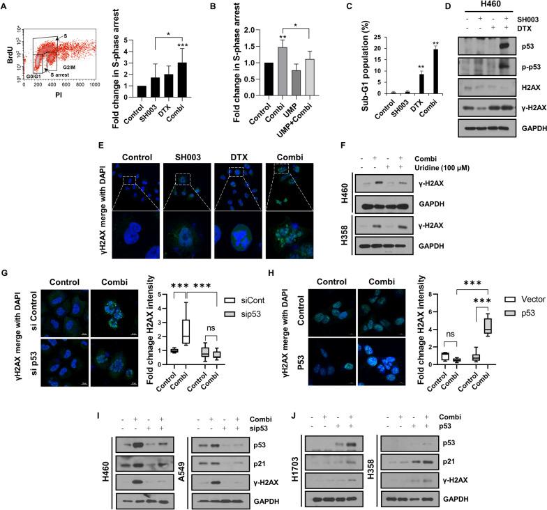 https://cdn.ncbi.nlm.nih.gov/pmc/blobs/6e64/11069295/0f8defdea67d/12935_2024_3337_Fig5_HTML.jpg