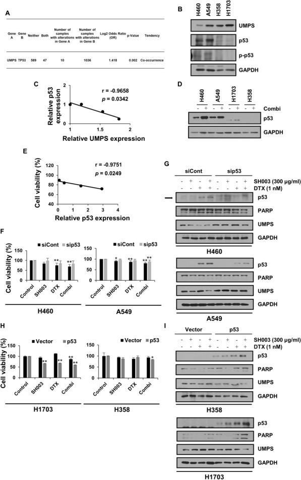 https://cdn.ncbi.nlm.nih.gov/pmc/blobs/6e64/11069295/66d499994b1b/12935_2024_3337_Fig4_HTML.jpg