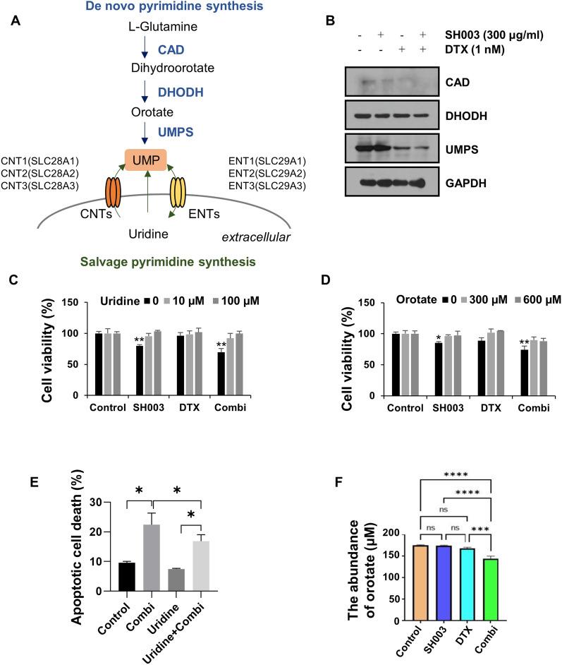 https://cdn.ncbi.nlm.nih.gov/pmc/blobs/6e64/11069295/f83e03cf12e1/12935_2024_3337_Fig1_HTML.jpg