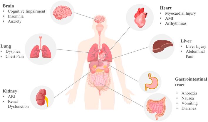 https://cdn.ncbi.nlm.nih.gov/pmc/blobs/6e65/10250669/4f57543ec517/fgene-14-1187985-g004.jpg