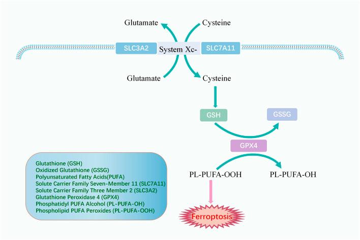 https://cdn.ncbi.nlm.nih.gov/pmc/blobs/6e65/10250669/ecd2422b258c/fgene-14-1187985-g003.jpg