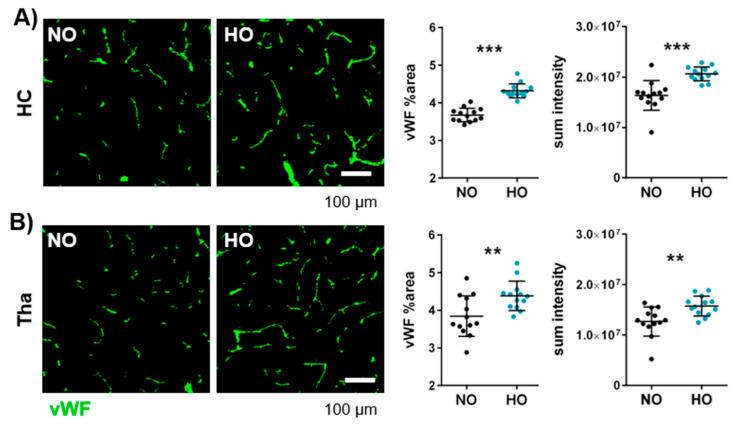 https://cdn.ncbi.nlm.nih.gov/pmc/blobs/6e67/11941478/57f1386cc702/cells-14-00443-g004.jpg