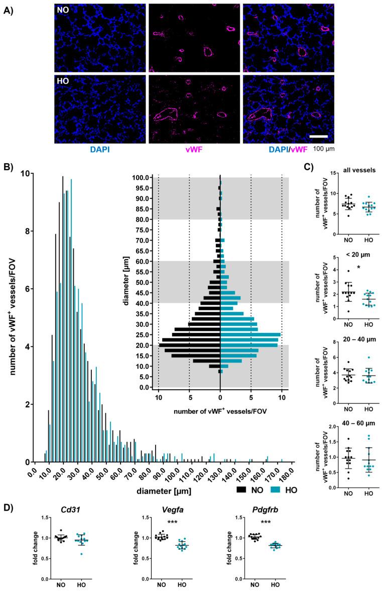 https://cdn.ncbi.nlm.nih.gov/pmc/blobs/6e67/11941478/5bd6dfc96825/cells-14-00443-g006.jpg