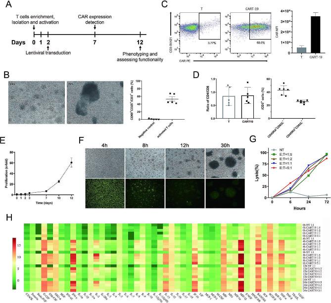https://cdn.ncbi.nlm.nih.gov/pmc/blobs/6e68/11110321/0a51c8e83e51/12967_2024_5254_Fig1_HTML.jpg