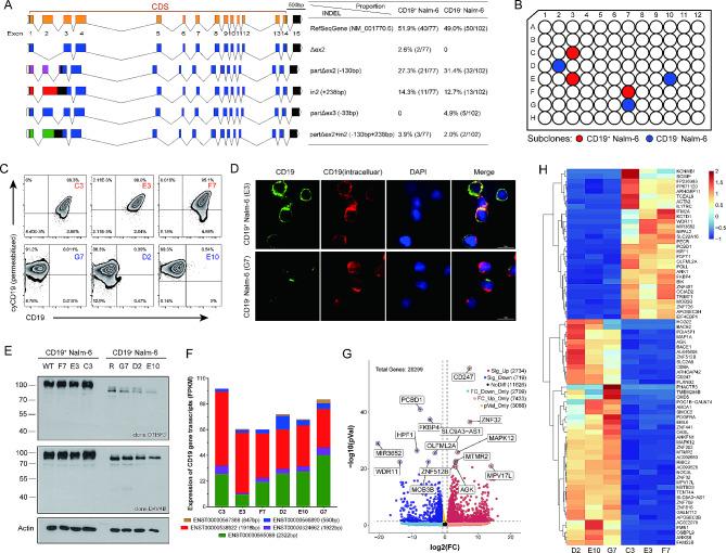 https://cdn.ncbi.nlm.nih.gov/pmc/blobs/6e68/11110321/264d606428ac/12967_2024_5254_Fig4_HTML.jpg