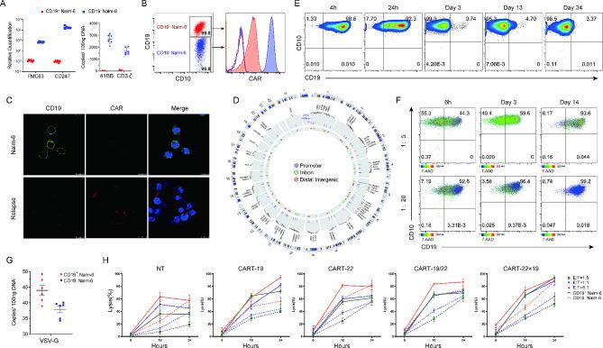 https://cdn.ncbi.nlm.nih.gov/pmc/blobs/6e68/11110321/8cf1b62cb7b7/12967_2024_5254_Fig5_HTML.jpg