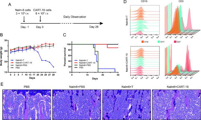 https://cdn.ncbi.nlm.nih.gov/pmc/blobs/6e68/11110321/a7cdde4b0fd1/12967_2024_5254_Fig2_HTML.jpg