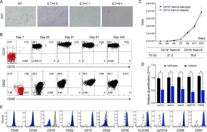 https://cdn.ncbi.nlm.nih.gov/pmc/blobs/6e68/11110321/ddbc69e373ec/12967_2024_5254_Fig3_HTML.jpg