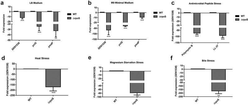 https://cdn.ncbi.nlm.nih.gov/pmc/blobs/6e68/7161692/b3bf7b244f51/kvir-11-01-1743540-g003.jpg