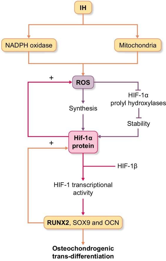 https://cdn.ncbi.nlm.nih.gov/pmc/blobs/6e68/9900523/ef691d4d6f56/sfac224fig1.jpg