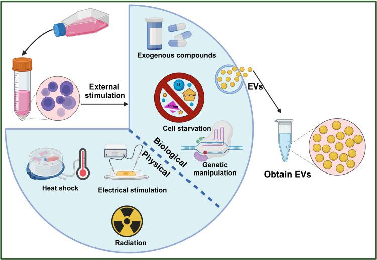 https://cdn.ncbi.nlm.nih.gov/pmc/blobs/6e6b/10924919/416e13c8a7d5/IJN-19-2241-g0003.jpg