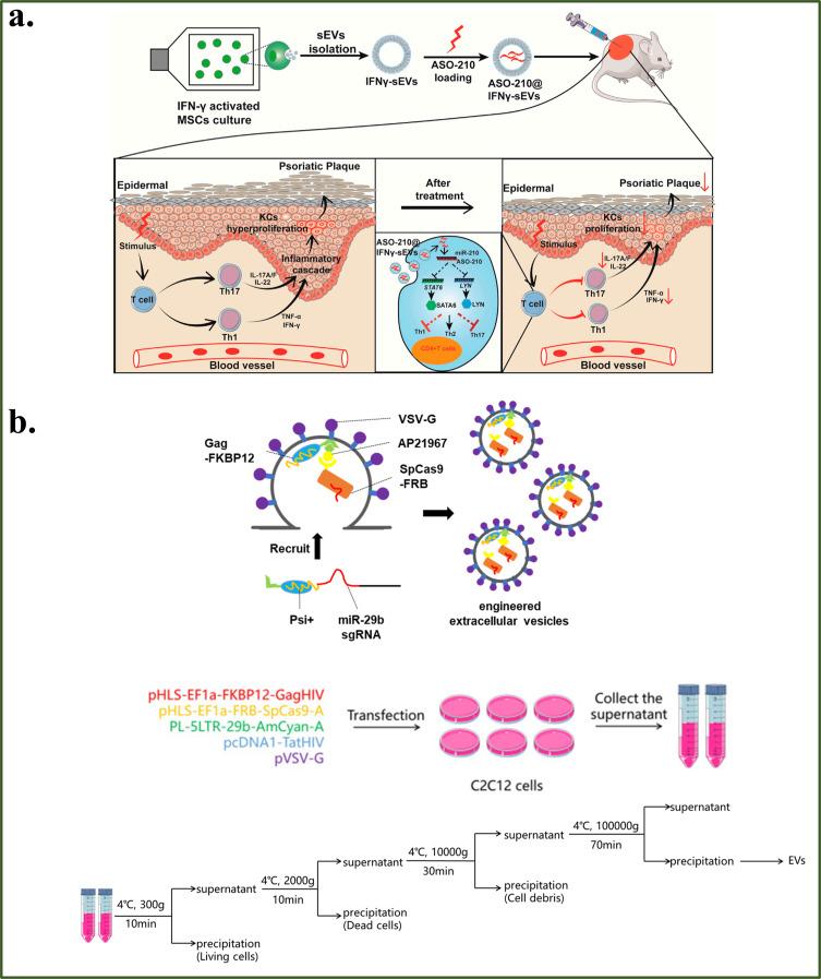 https://cdn.ncbi.nlm.nih.gov/pmc/blobs/6e6b/10924919/5ad363ac2ca0/IJN-19-2241-g0008.jpg