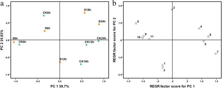 https://cdn.ncbi.nlm.nih.gov/pmc/blobs/6e6d/6339335/f85919305540/12870_2019_1643_Fig3_HTML.jpg