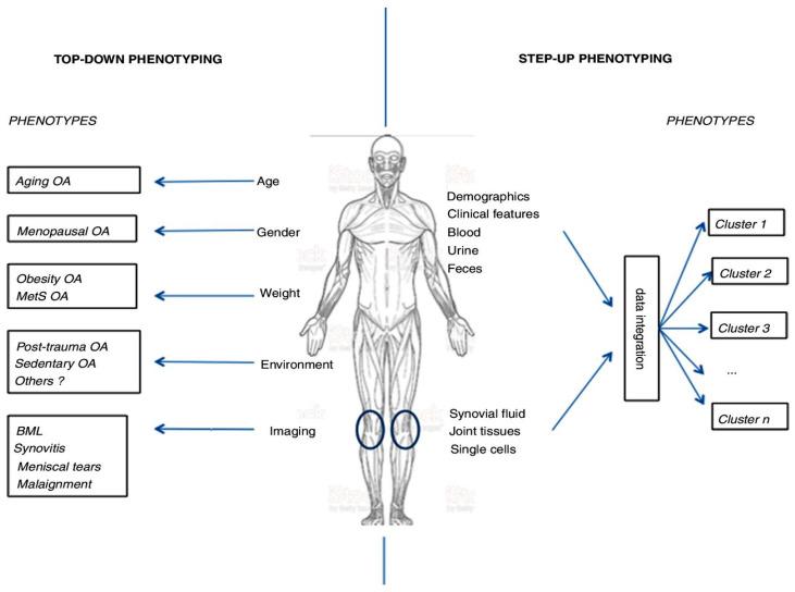 https://cdn.ncbi.nlm.nih.gov/pmc/blobs/6e6e/11122795/55effd40f7f1/life-14-00622-g001.jpg