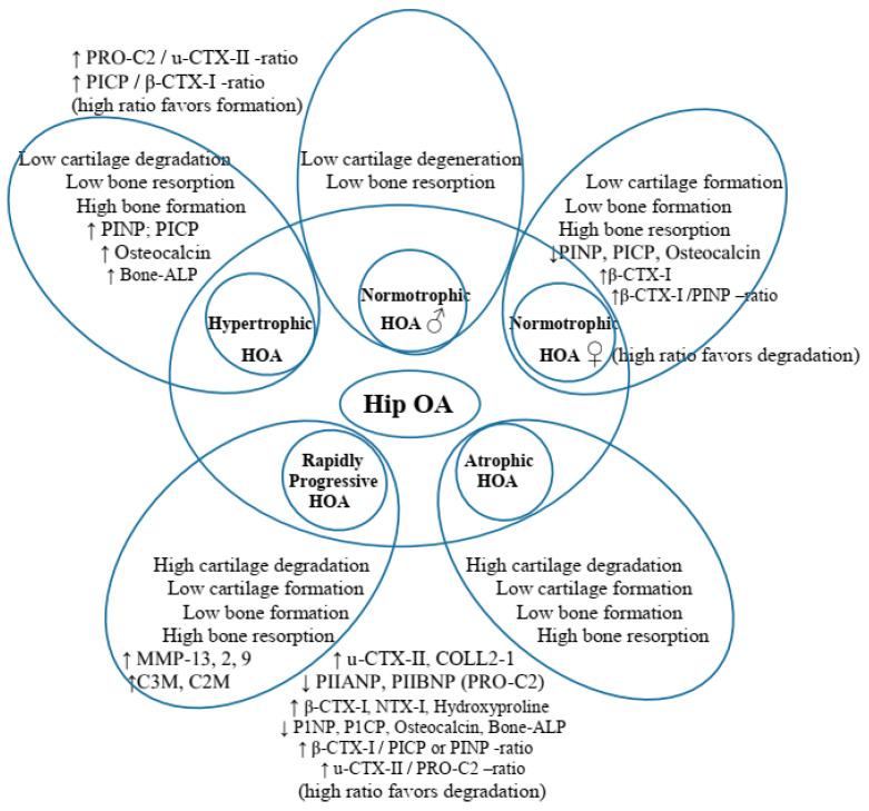 https://cdn.ncbi.nlm.nih.gov/pmc/blobs/6e6e/11122795/958a592aea5d/life-14-00622-g007.jpg