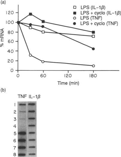 https://cdn.ncbi.nlm.nih.gov/pmc/blobs/6e6e/1384577/1662389557a4/immunology00119-0095-a.jpg