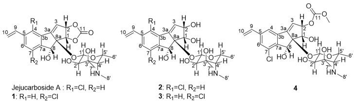 https://cdn.ncbi.nlm.nih.gov/pmc/blobs/6e70/10381858/7f6475997073/marinedrugs-21-00405-g001.jpg