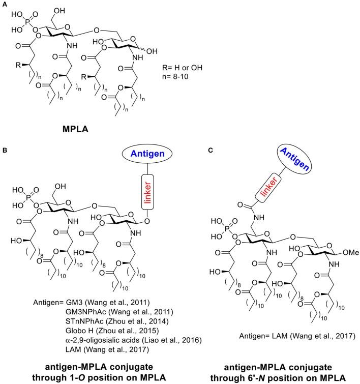 https://cdn.ncbi.nlm.nih.gov/pmc/blobs/6e71/7174737/29e5398b0f09/fchem-08-00284-g0002.jpg