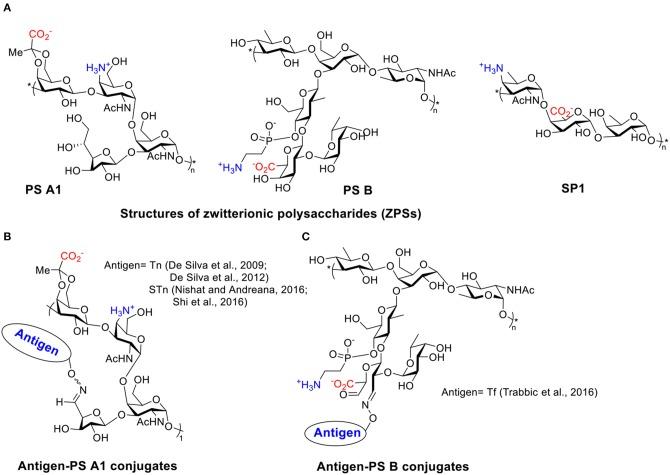 https://cdn.ncbi.nlm.nih.gov/pmc/blobs/6e71/7174737/4ac37a523d83/fchem-08-00284-g0001.jpg