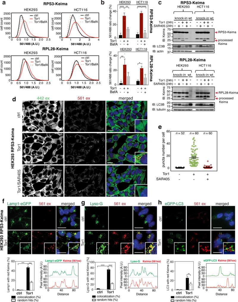 https://cdn.ncbi.nlm.nih.gov/pmc/blobs/6e73/5786475/8796417a2ed5/nihms920451f4.jpg