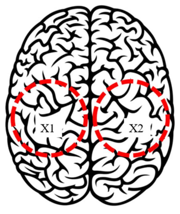 https://cdn.ncbi.nlm.nih.gov/pmc/blobs/6e76/12190415/873e99b491ad/biomimetics-10-00345-g008.jpg