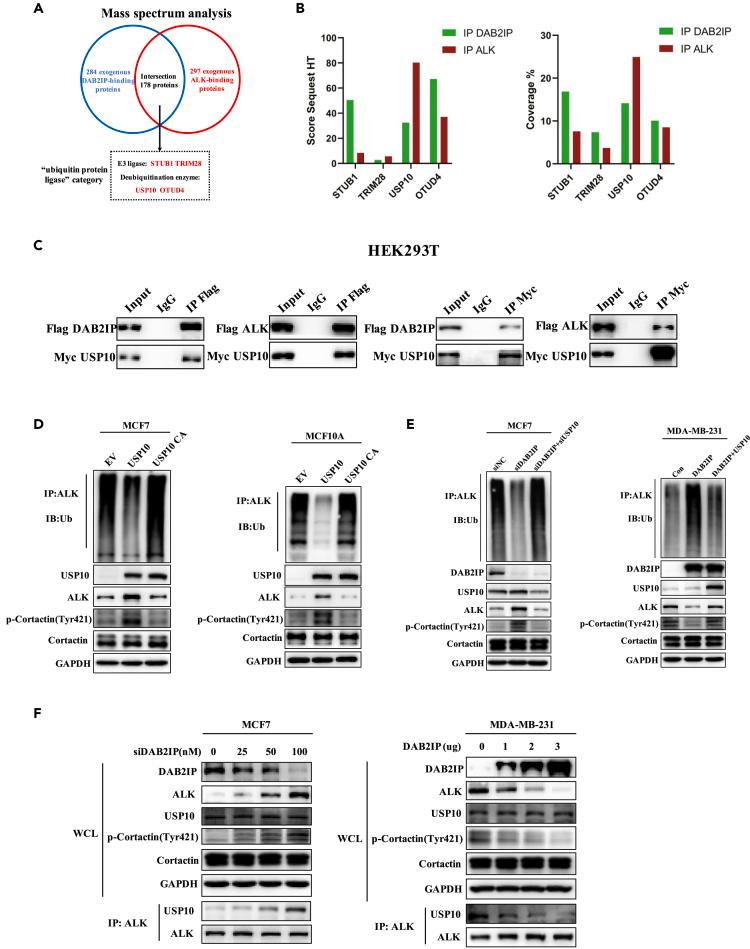 https://cdn.ncbi.nlm.nih.gov/pmc/blobs/6e78/10470318/031210580cf0/gr5.jpg