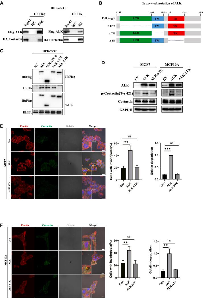 https://cdn.ncbi.nlm.nih.gov/pmc/blobs/6e78/10470318/3995c25283b4/gr3.jpg