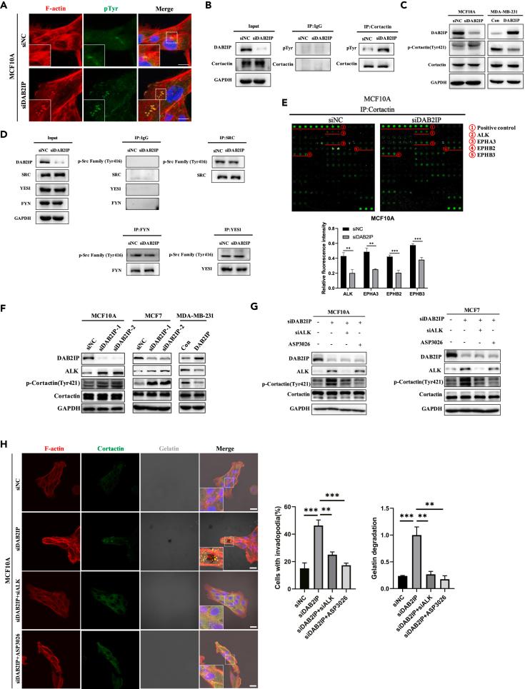 https://cdn.ncbi.nlm.nih.gov/pmc/blobs/6e78/10470318/c3004b24b612/gr2.jpg