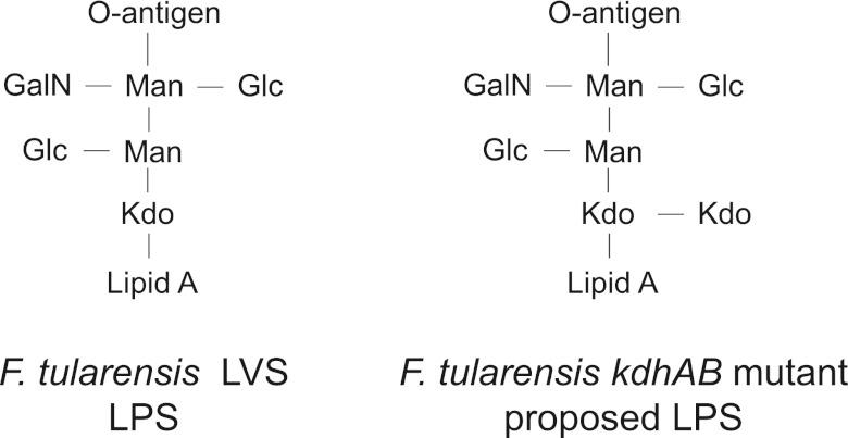 https://cdn.ncbi.nlm.nih.gov/pmc/blobs/6e78/3573668/551bf79c9f72/mbo0011314390001.jpg