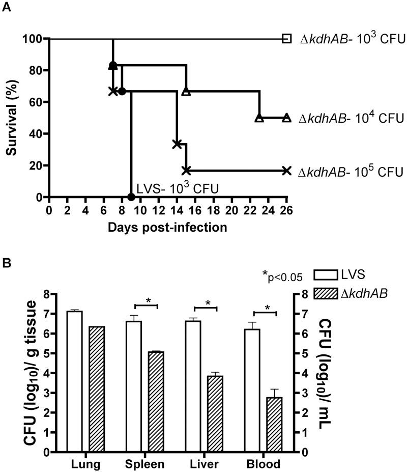https://cdn.ncbi.nlm.nih.gov/pmc/blobs/6e78/3573668/5b0c0b55e5ca/mbo0011314390002.jpg