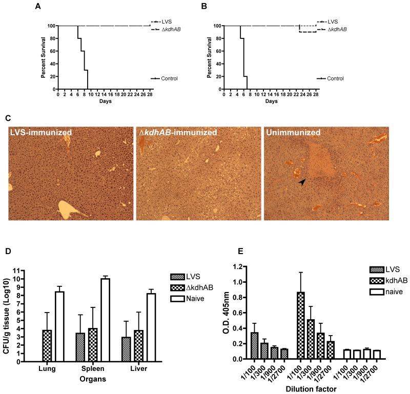 https://cdn.ncbi.nlm.nih.gov/pmc/blobs/6e78/3573668/a5b591fc1151/mbo0011314390007.jpg