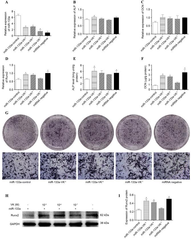 https://cdn.ncbi.nlm.nih.gov/pmc/blobs/6e78/5428867/bc261036ea1e/MMR-15-05-2473-g03.jpg