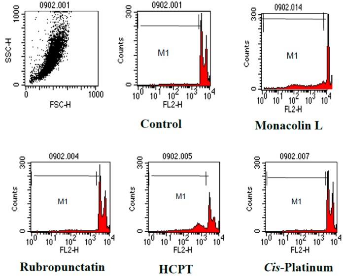 https://cdn.ncbi.nlm.nih.gov/pmc/blobs/6e78/5448003/2d10fd32702f/genes-08-00129-g005.jpg