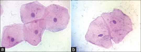https://cdn.ncbi.nlm.nih.gov/pmc/blobs/6e78/5596672/fd778ca68f72/JOMFP-21-224-g002.jpg