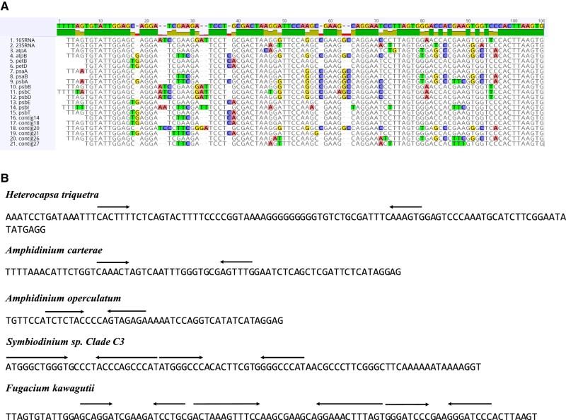 https://cdn.ncbi.nlm.nih.gov/pmc/blobs/6e79/10781511/a1ce7c6916ec/evad237f3.jpg