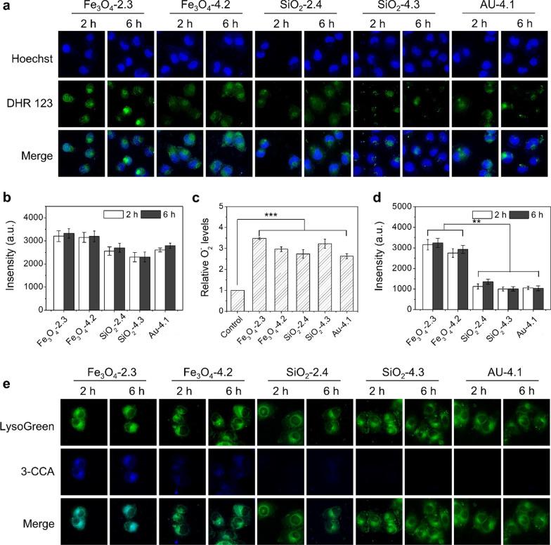 https://cdn.ncbi.nlm.nih.gov/pmc/blobs/6e79/8962100/635fed8217a3/12989_2022_465_Fig4_HTML.jpg
