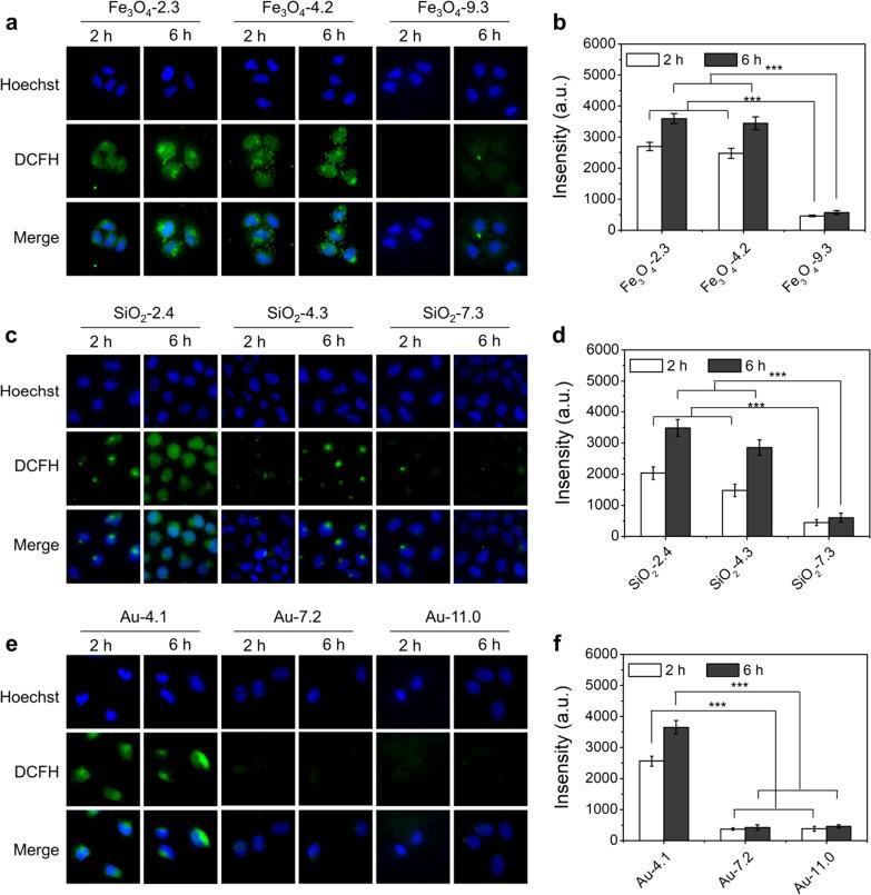 https://cdn.ncbi.nlm.nih.gov/pmc/blobs/6e79/8962100/abcbc0a193da/12989_2022_465_Fig3_HTML.jpg