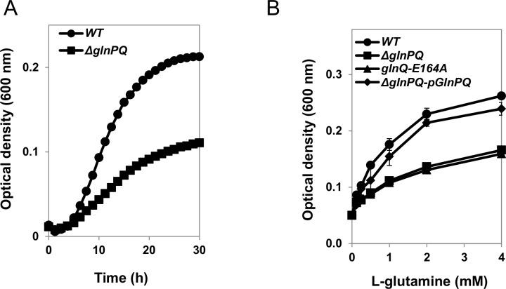 https://cdn.ncbi.nlm.nih.gov/pmc/blobs/6e7a/5289647/b2fa43994ba7/ppat.1006161.g003.jpg