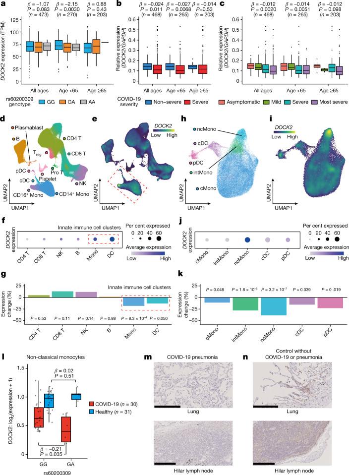 https://cdn.ncbi.nlm.nih.gov/pmc/blobs/6e7b/9492544/8d67417fa179/41586_2022_5163_Fig2_HTML.jpg