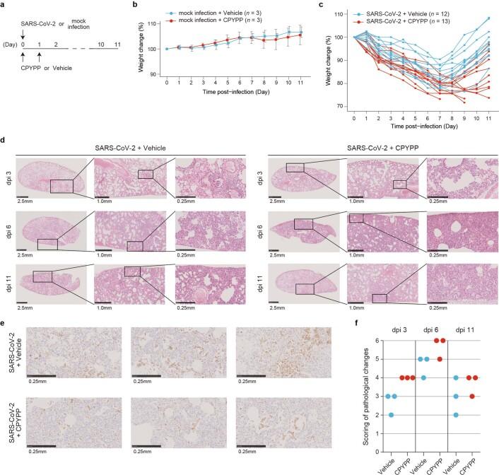 https://cdn.ncbi.nlm.nih.gov/pmc/blobs/6e7b/9492544/f2075ee3c2b5/41586_2022_5163_Fig13_ESM.jpg