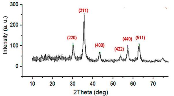 https://cdn.ncbi.nlm.nih.gov/pmc/blobs/6e7d/9933923/8d6b1ffd9b6b/fchem-11-1112911-g003.jpg