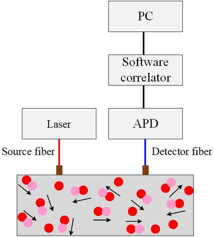 https://cdn.ncbi.nlm.nih.gov/pmc/blobs/6e7f/12283116/30ca9e2034f2/ABPID9-000009-036106_1-g006.jpg