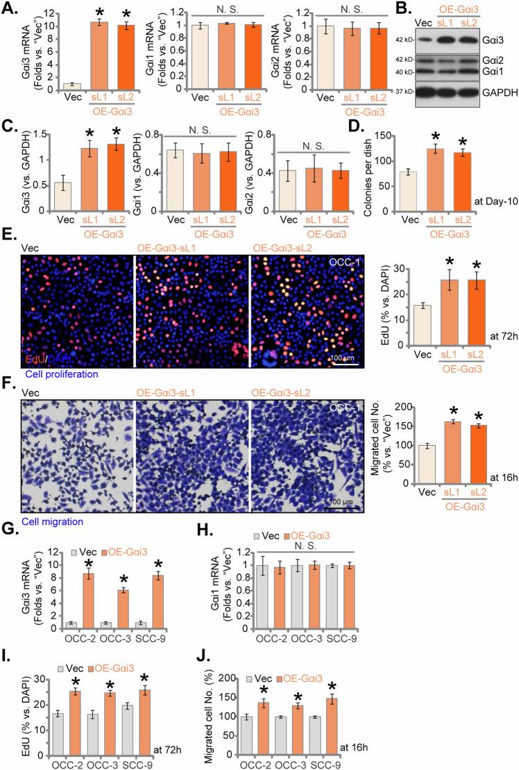 https://cdn.ncbi.nlm.nih.gov/pmc/blobs/6e80/11443079/30247c718049/41420_2024_2191_Fig5_HTML.jpg