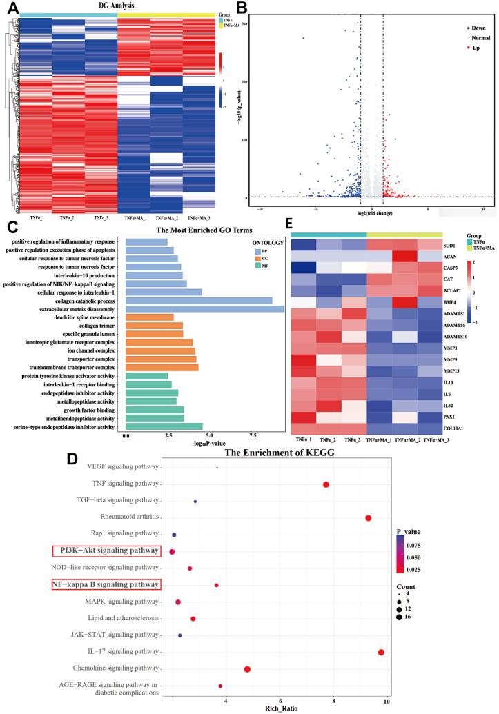 https://cdn.ncbi.nlm.nih.gov/pmc/blobs/6e82/11187486/09d3bee1779b/ABBS-2023-537-t3.jpg